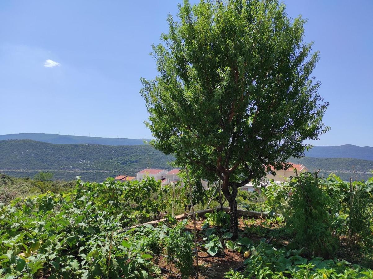 One Bedroom Apartment Gogo With Private Parking Neum Ngoại thất bức ảnh
