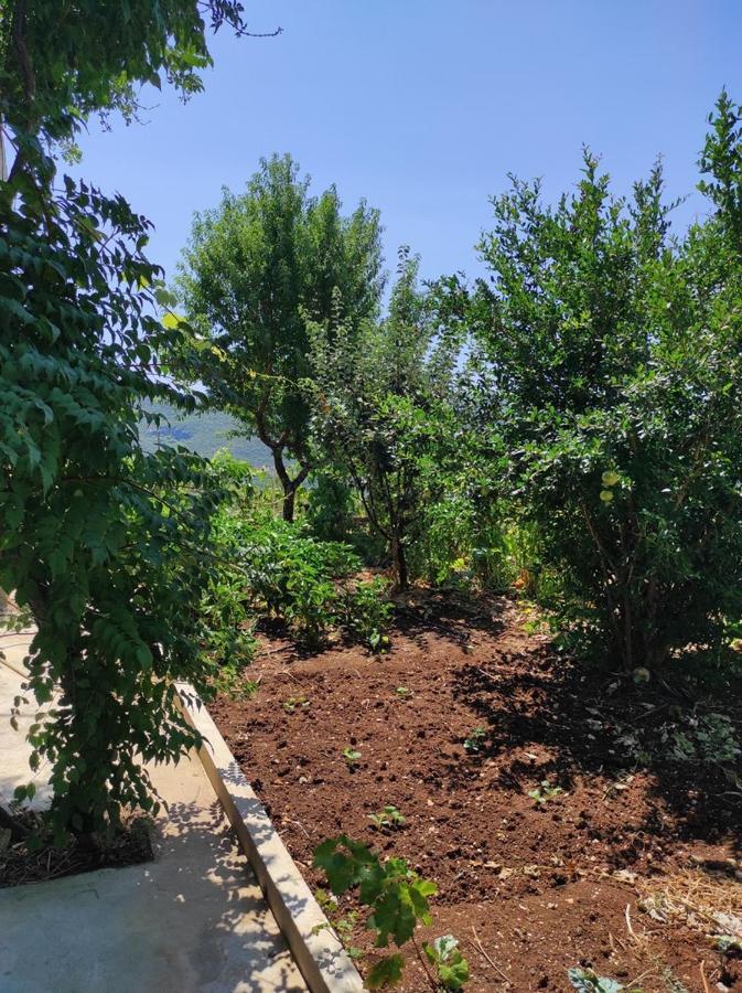One Bedroom Apartment Gogo With Private Parking Neum Ngoại thất bức ảnh